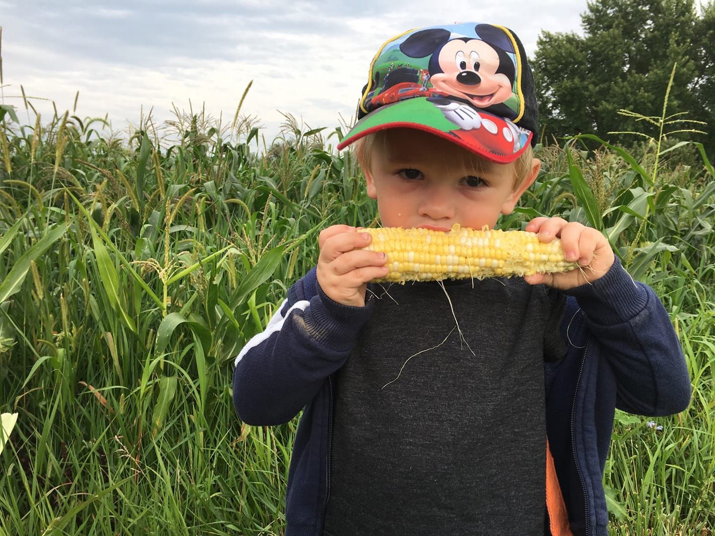 A young boy wearing a mickey mouse hat is eating corn on the cob.