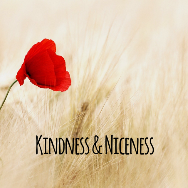 Kindness and Niceness