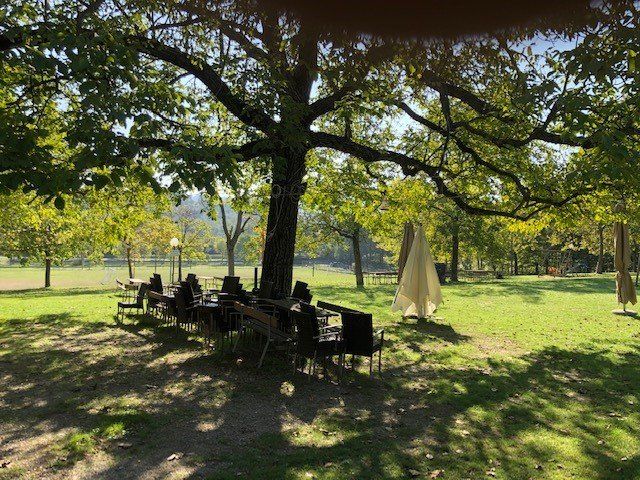 ristorante carosello