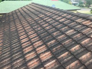 Before Roof Tile Restoration — Blue Bay, NSW — Norwest