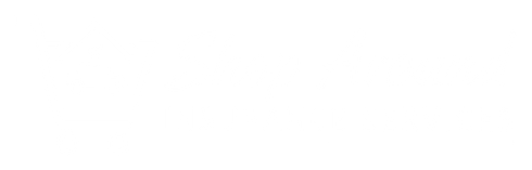 Shop Around Insurance logo with a house and shopping cart graphic, plus the slogan “we shop, you save.”