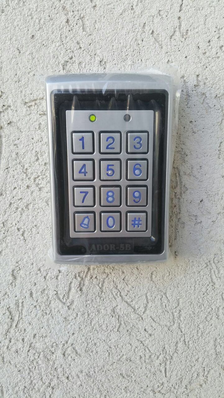 מיגוון קודנים