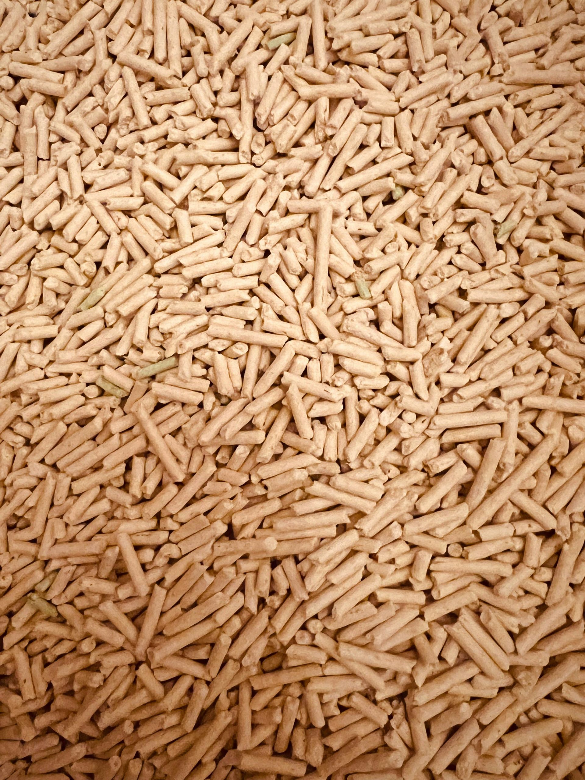 Il telaio è riempito da pellet di mangime per animali di forma cilindrica, di colore marrone chiaro.