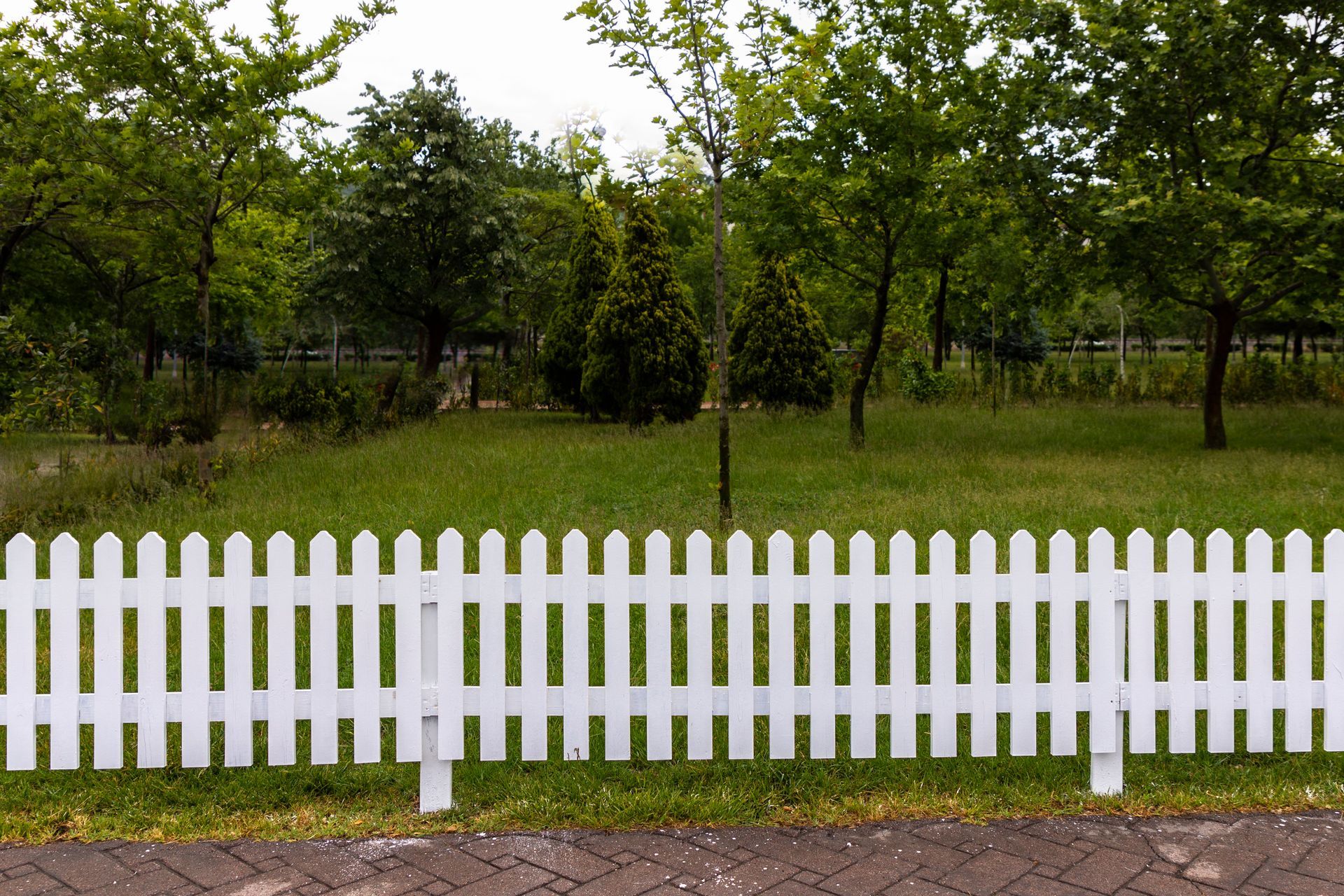 White picket fence in front of green garden trees and grass in outdoor park setting. White picket fence in front of green garden trees and grass in outdoor park setting.