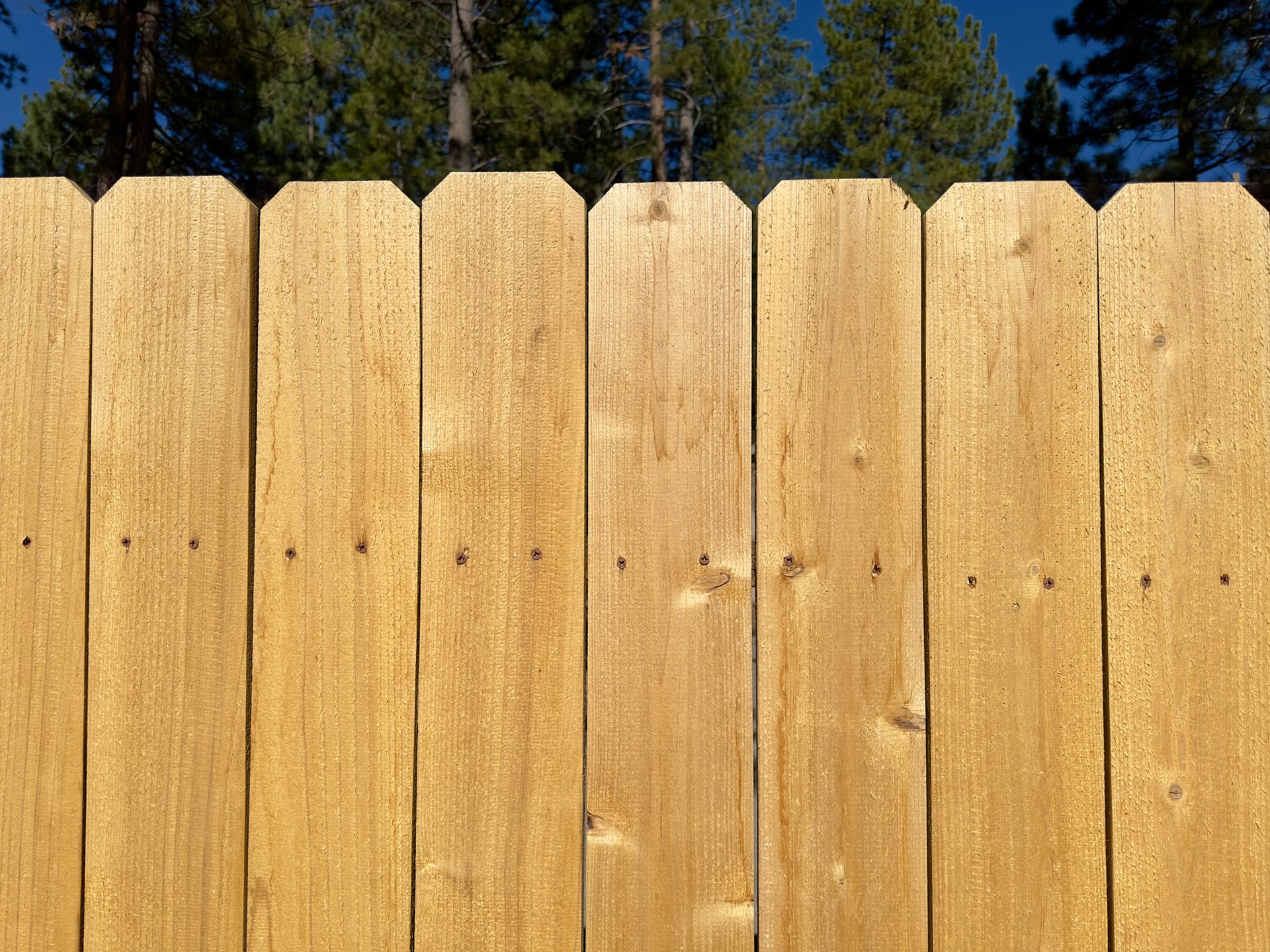 Clear view of a well-constructed wooden fence in a backyard.