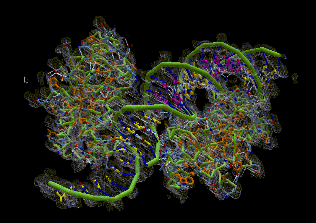 4yg4 HipB-01-01 Complex afbeelding (C) 2024 Harald Feldmann