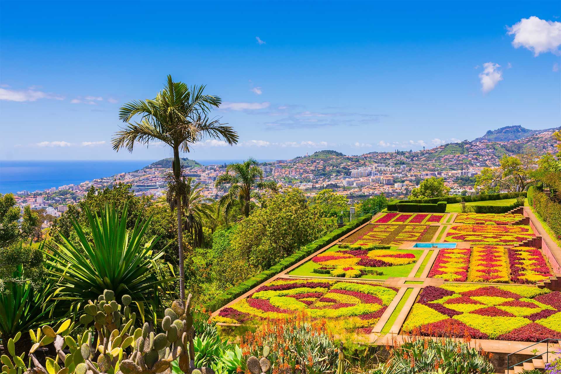 Madeira Highlights: Monte Palace Tropical Garden