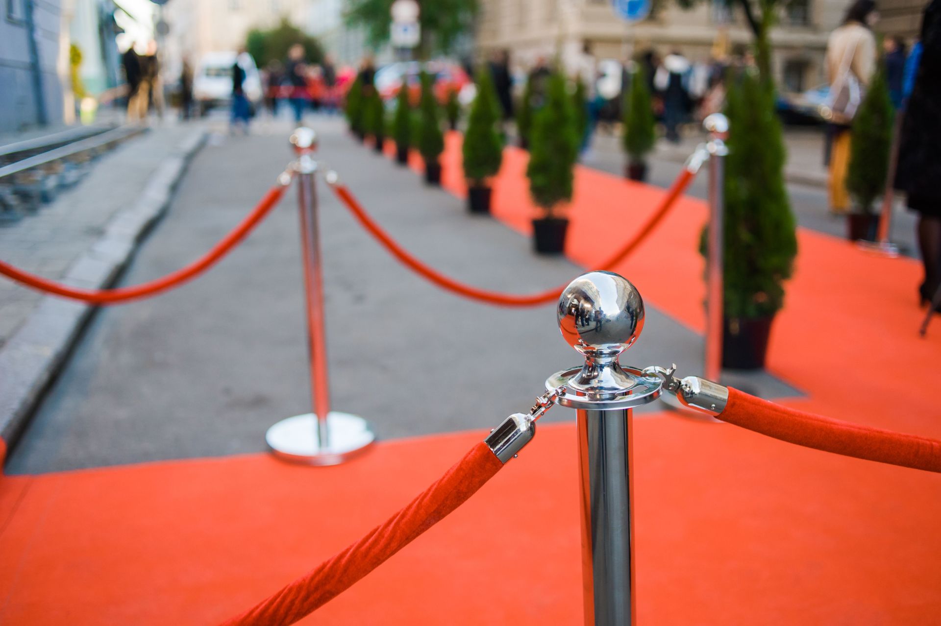 A red carpet is lined up behind a rope barrier.