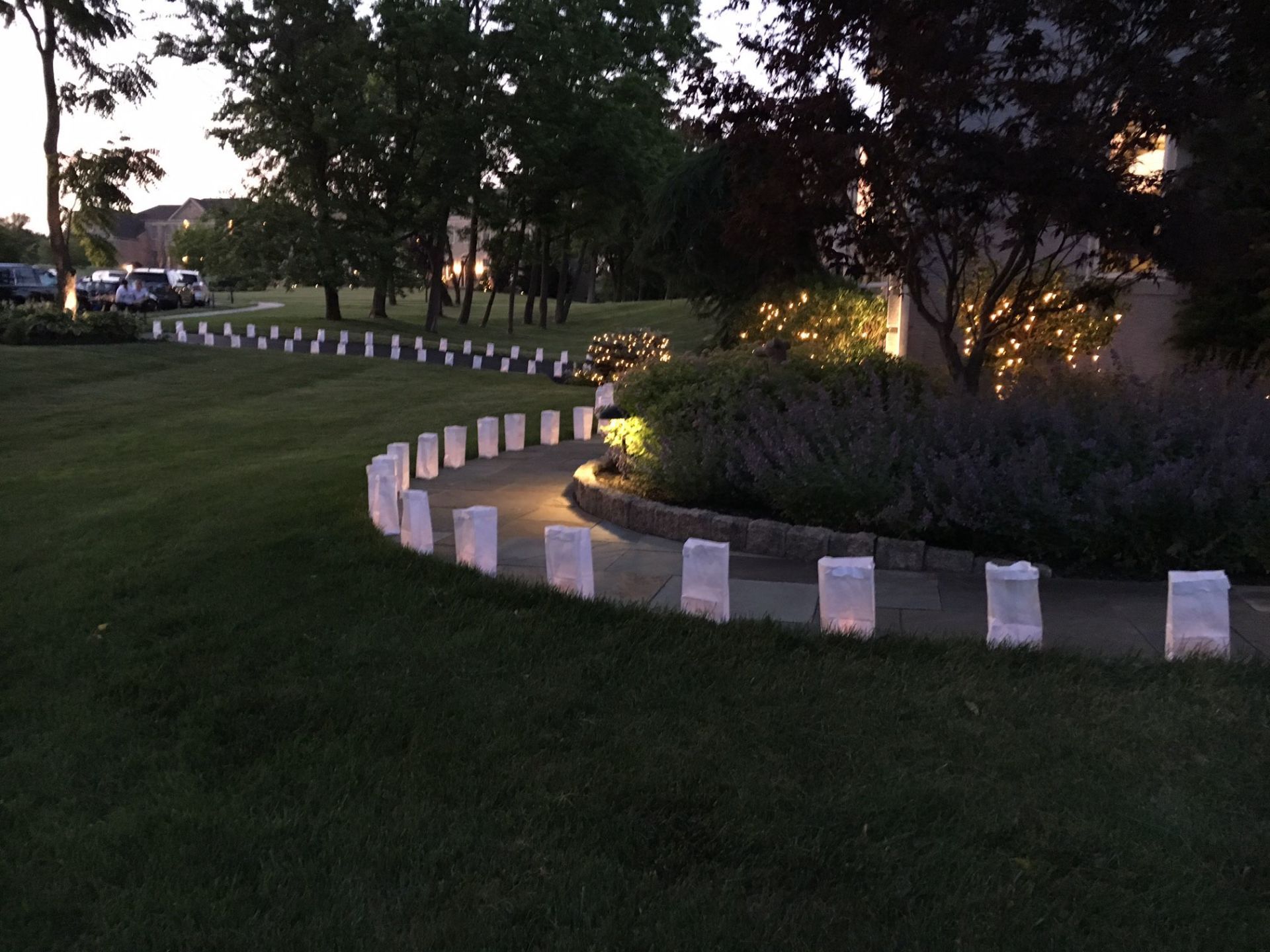 A row of white lanterns are lit up in a park