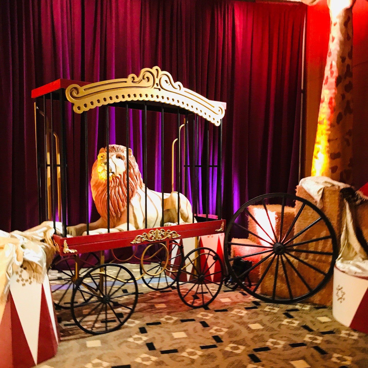 A lion is in a cage with wheels in a circus setting.