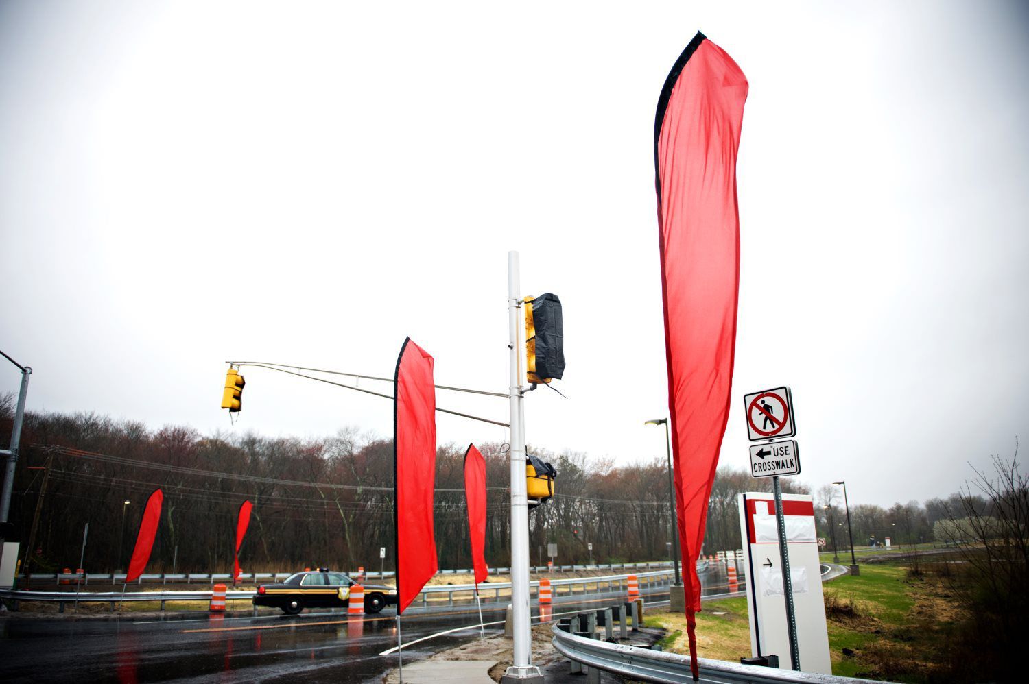 A row of red flags are lined up on the side of a road