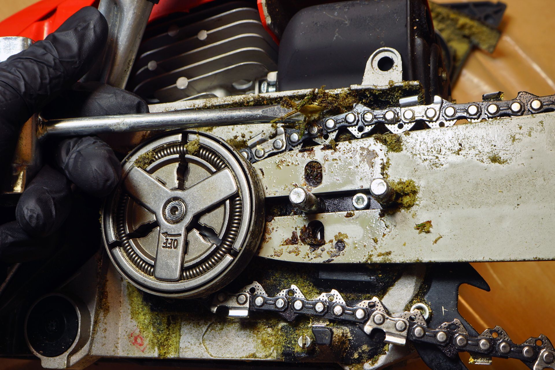 Chainsaw being worked on; close-up of the chain, sprocket, and bar.
