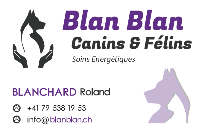 Une carte de visite pour blan blan canins & felins