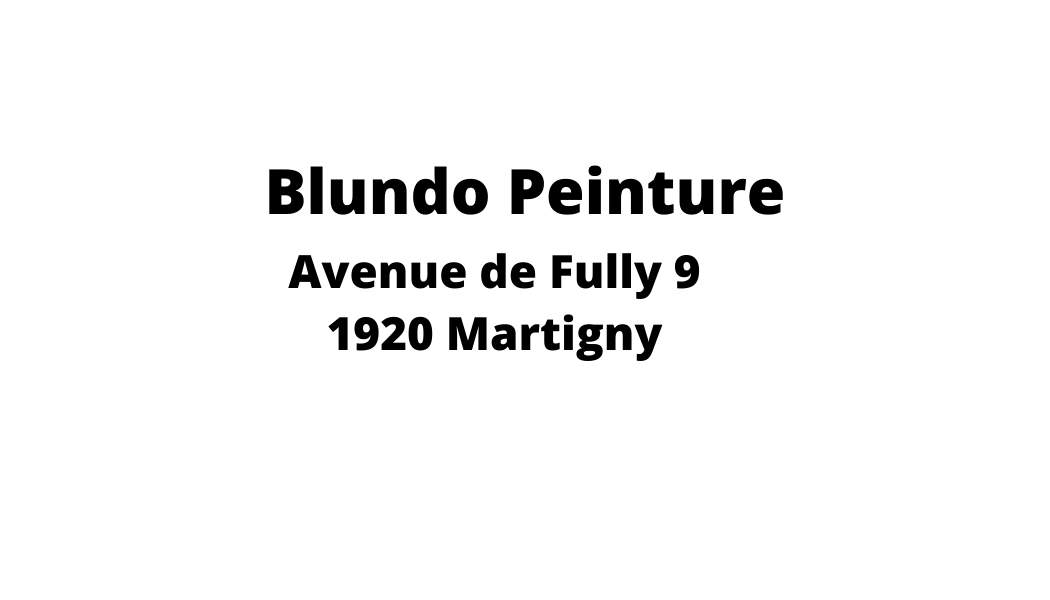 Un logo noir et blanc pour blundo peinture avenue de fully 9 1920 martigny