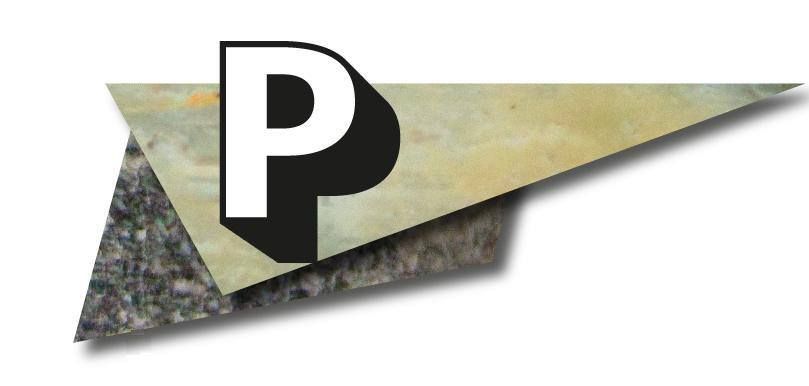 Un triangle avec la lettre p dessus