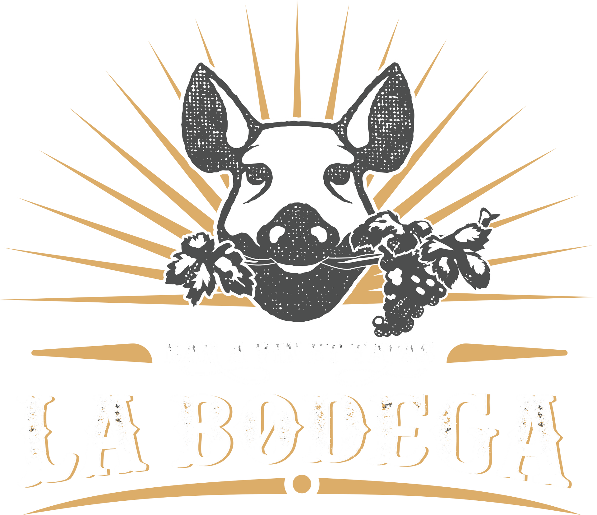 Un chien tient une grappe de raisin dans sa gueule.