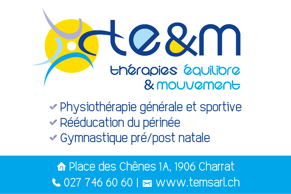 Un logo bleu et jaune pour une entreprise appelée te & m