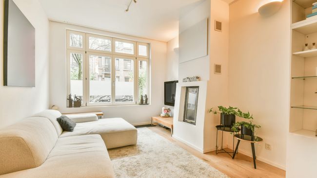 Living room with large window, beige sofa, shaggy rug, fireplace, and side table with plants.