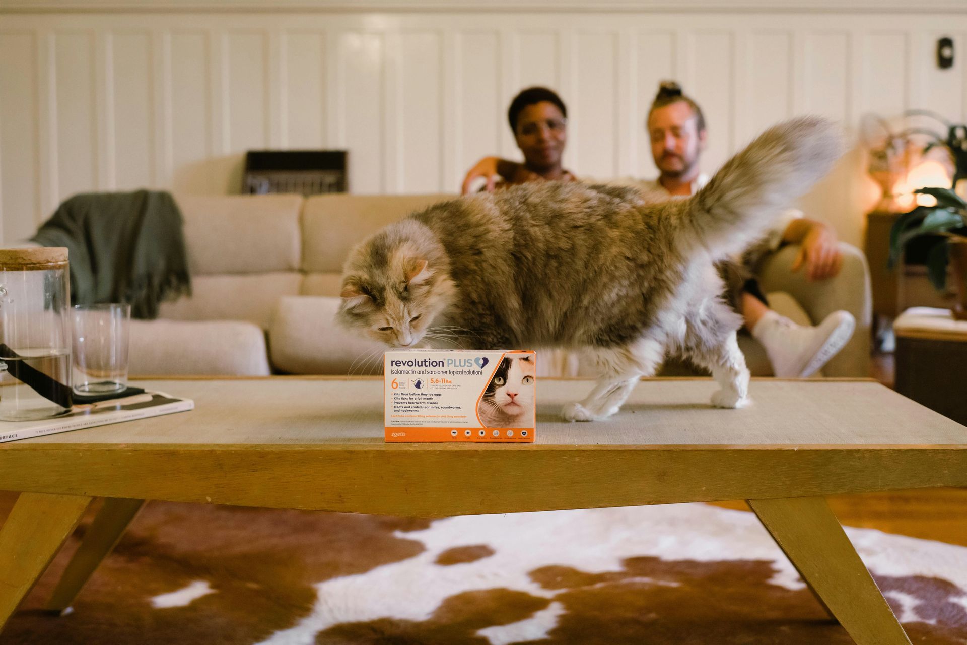 A cat is standing on a coffee table in a living room.