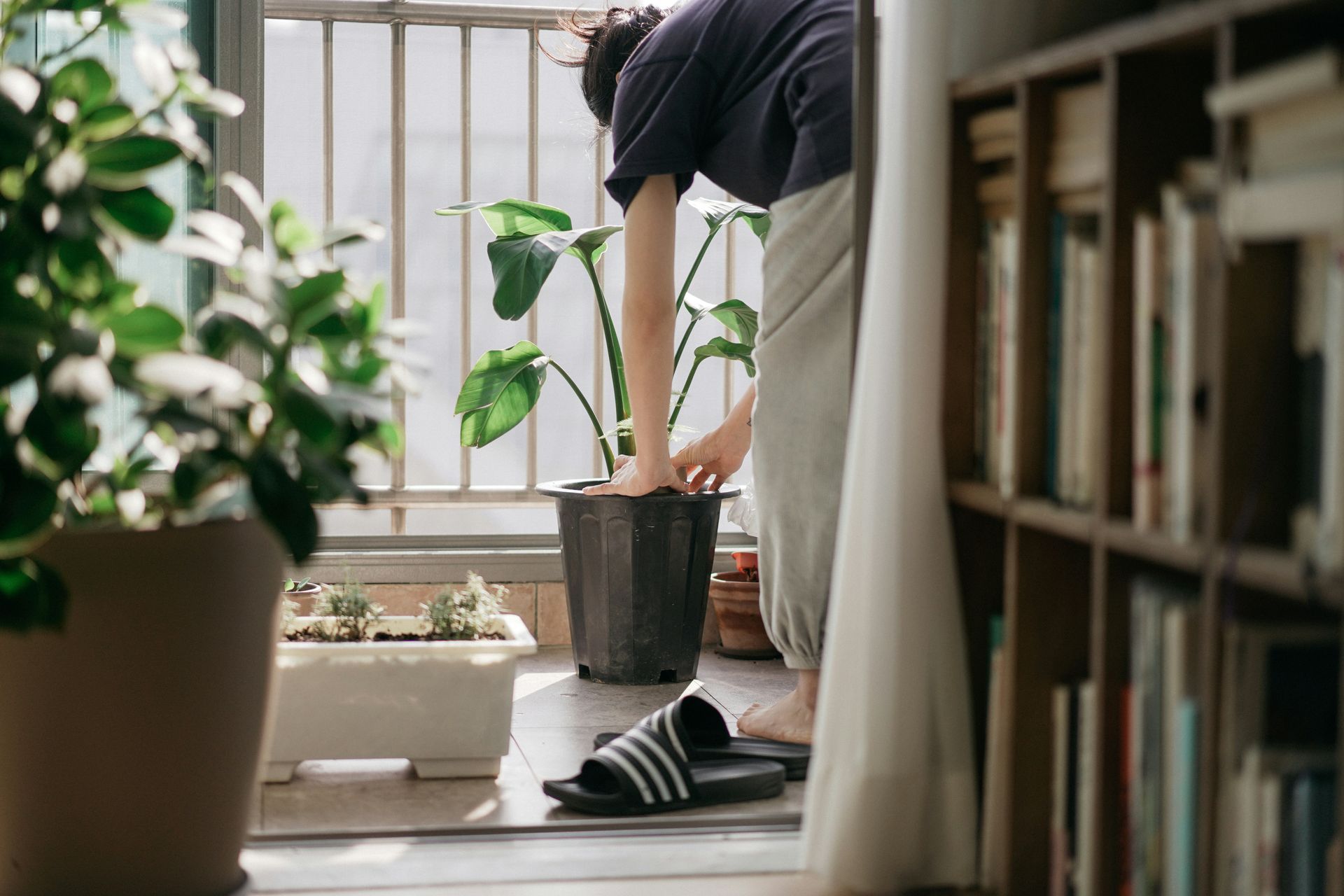 A woman is standing next to a potted plant on a balcony.