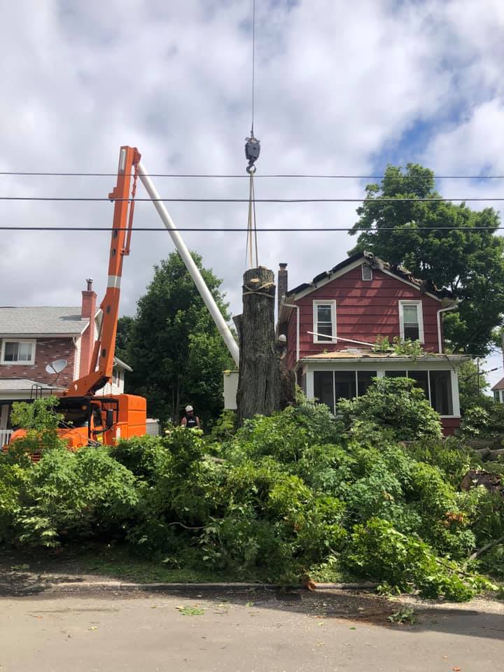 Removing Tree in Residential Home — Curwensville, PA — Arbor Pros, LLC