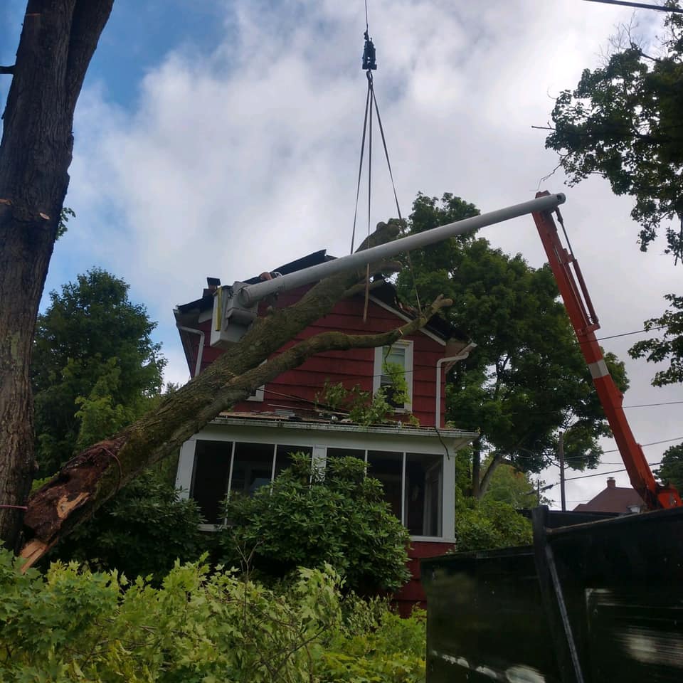 Sawing Top of the Tree — Curwensville, PA — Arbor Pros, LLC
