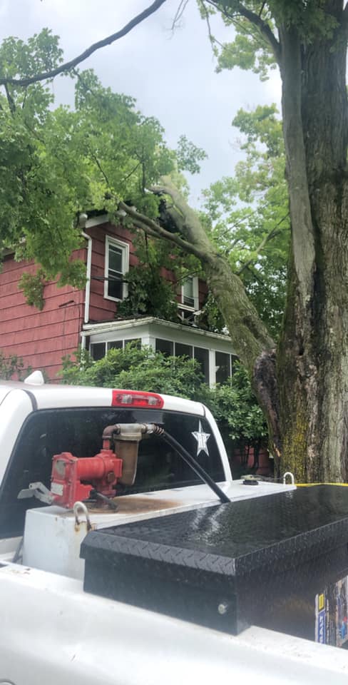 Tree Branches Cutting — Curwensville, PA — Arbor Pros, LLC