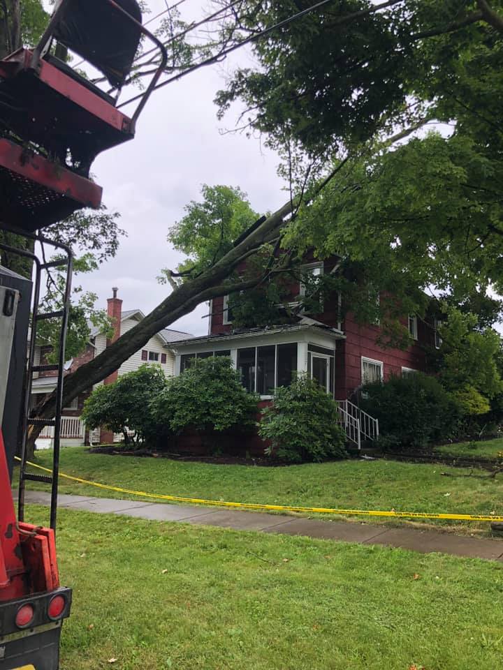 Tree Cutting Services — Curwensville, PA — Arbor Pros, LLC