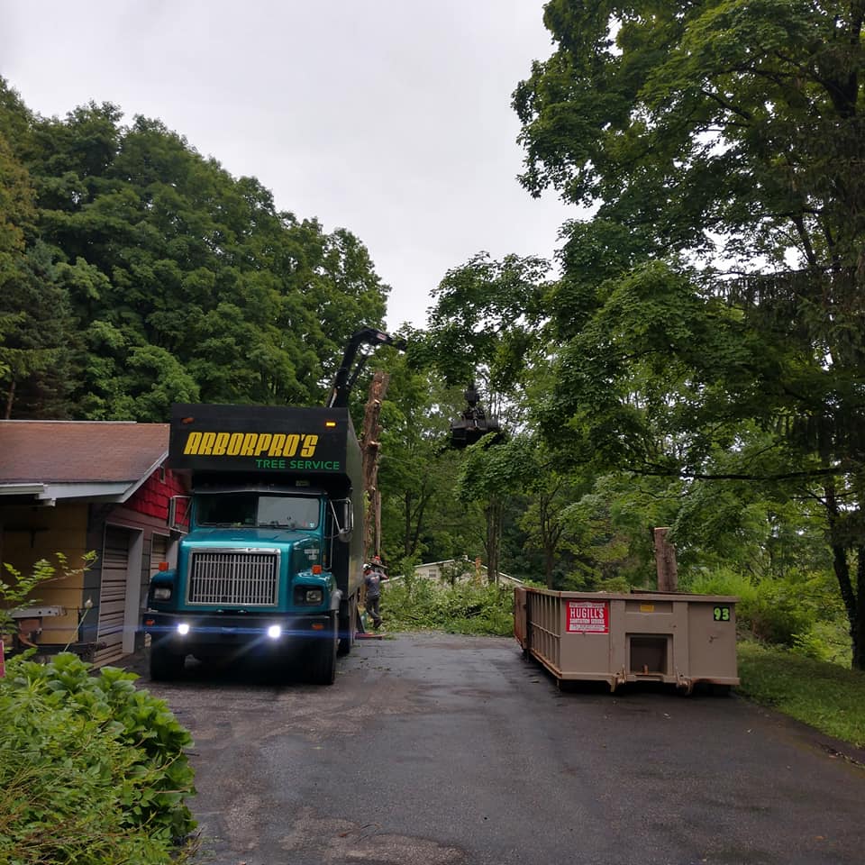 Disaster Response — Man in the Truck Removing the Tree in Curwensville, PA