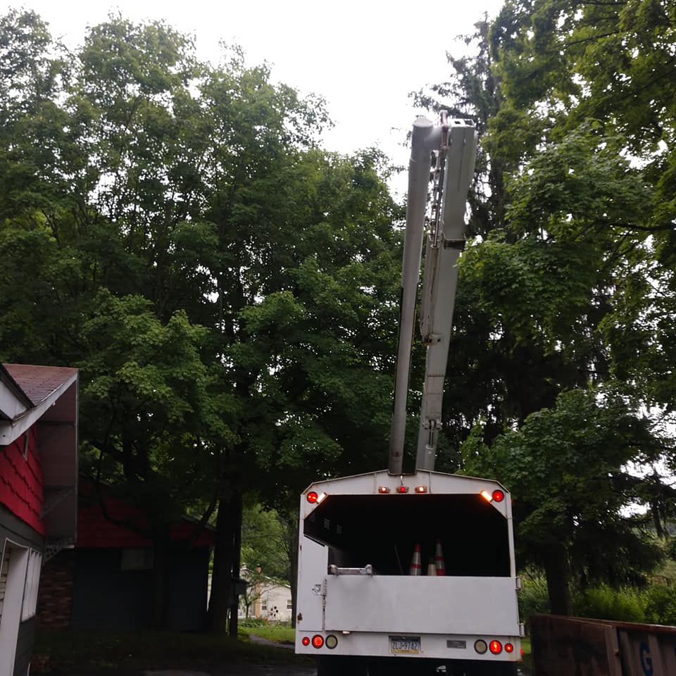 White Truck — Curwensville, PA — Arbor Pros, LLC