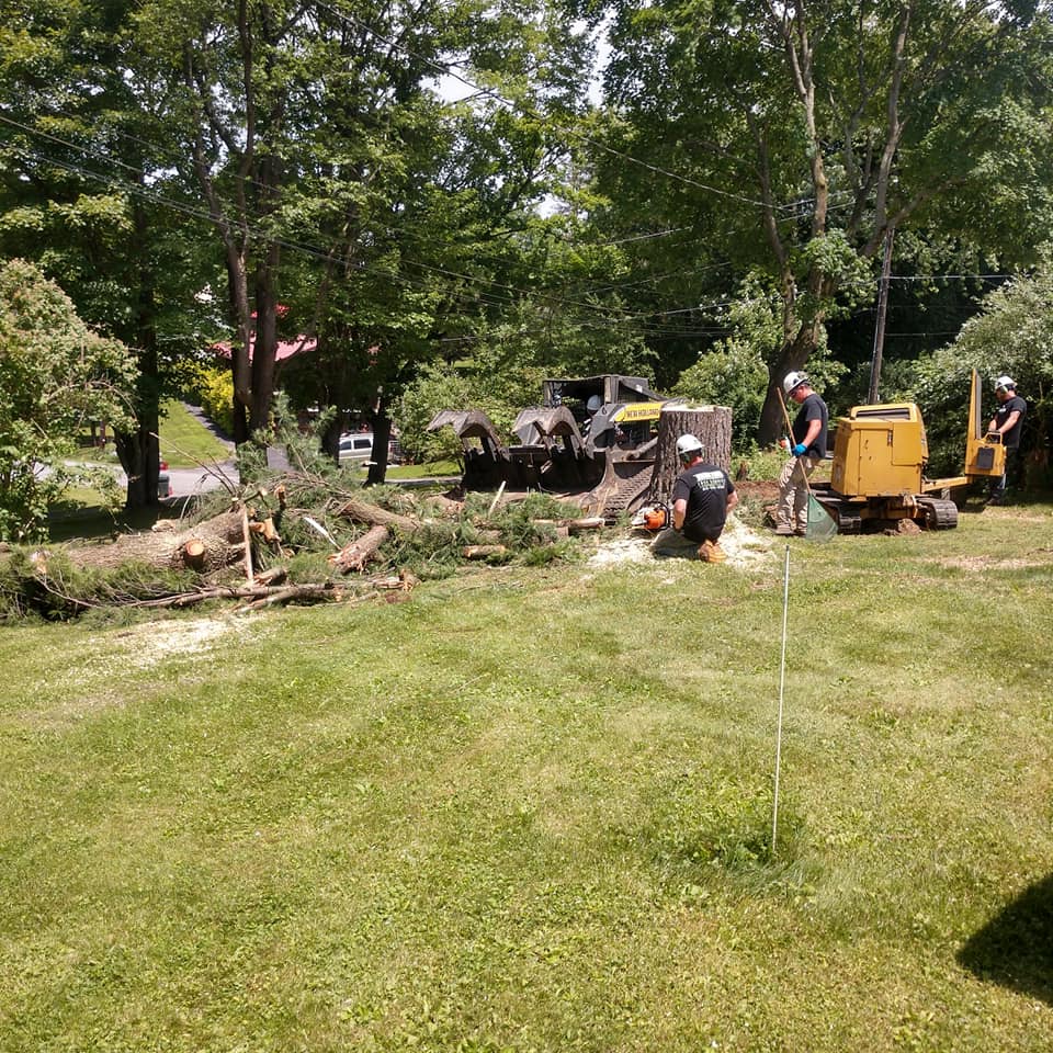 Man Removing Tree Stump — Curwensville, PA — Arbor Pros, LLC