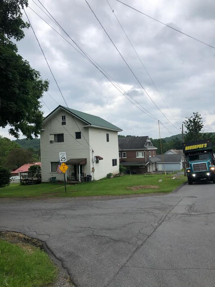 Residential Home — Curwensville, PA — Arbor Pros, LLC