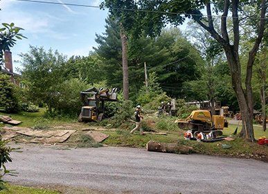 Tree Removal — Lot Clearing Service in Curwensville, PA