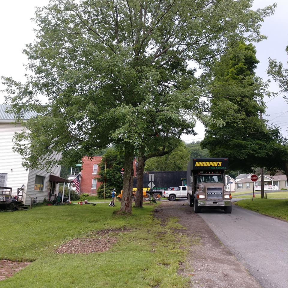 Storm Cleanup — Truck Service in Curwensville, PA
