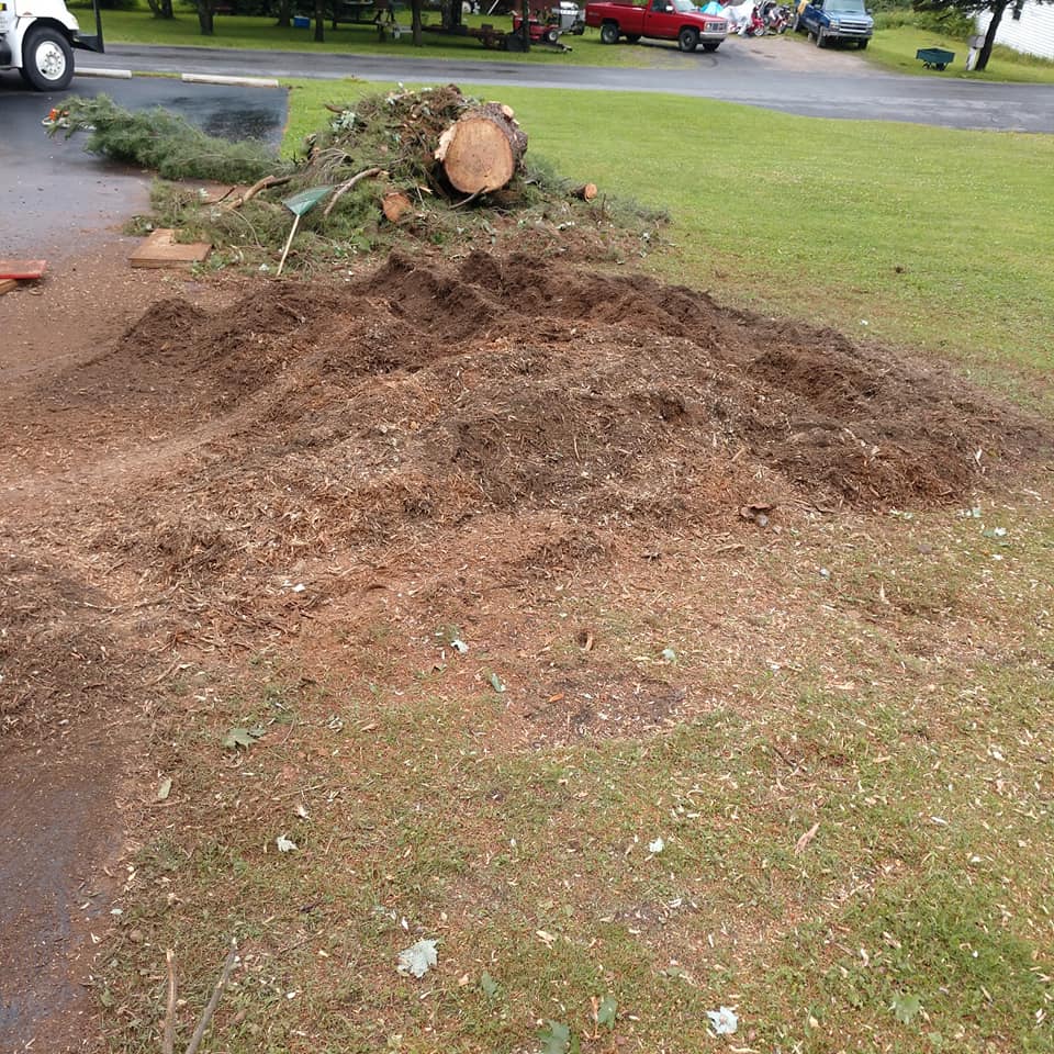 Lot Clearing — Clean Lot in Curwensville, PA