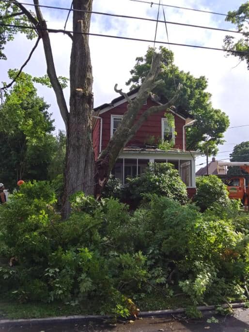Man Cutting Tall Tree — Curwensville, PA — Arbor Pros, LLC
