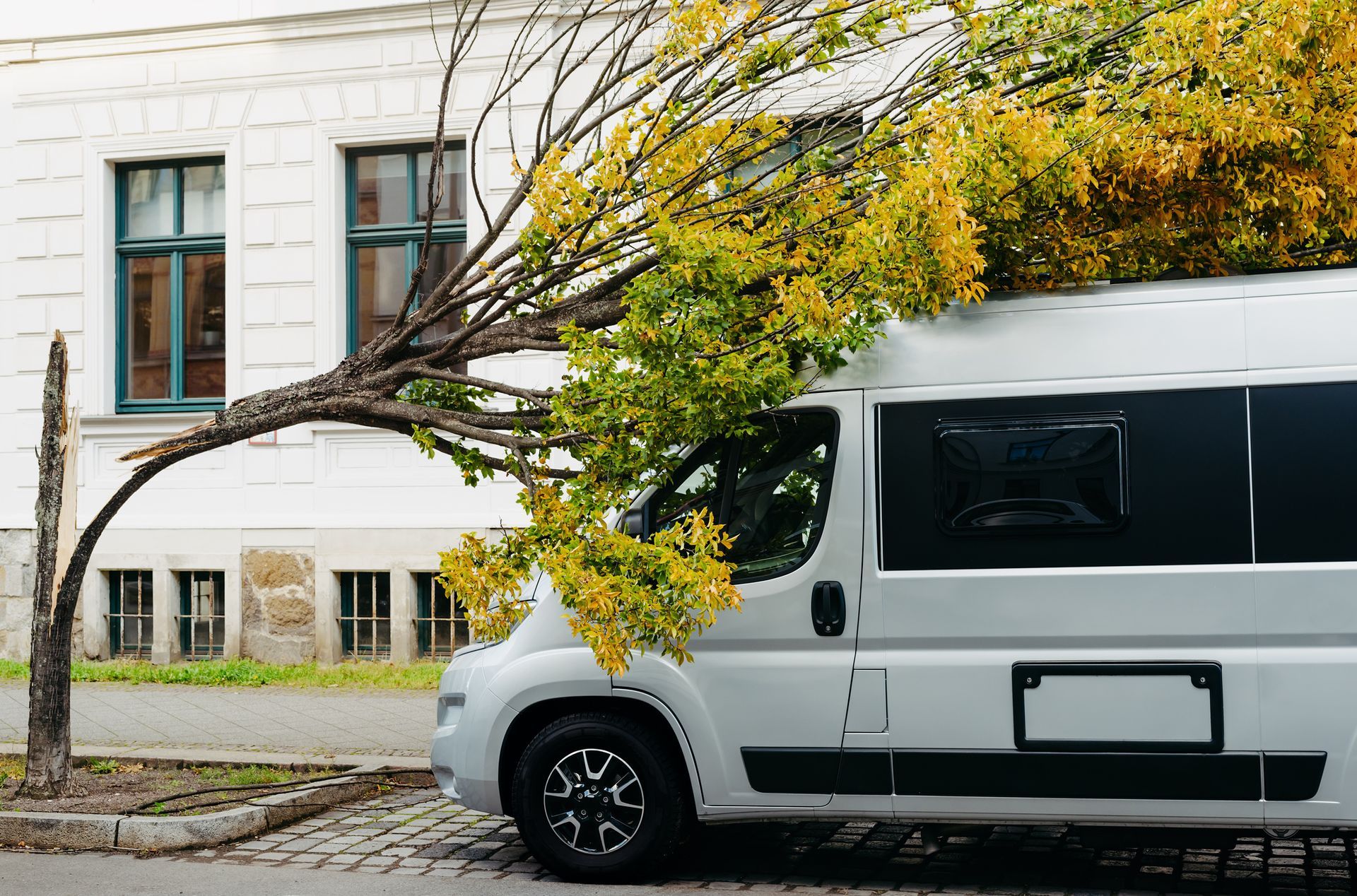 Tree fallen onto a parked white van on a cobblestone street.
