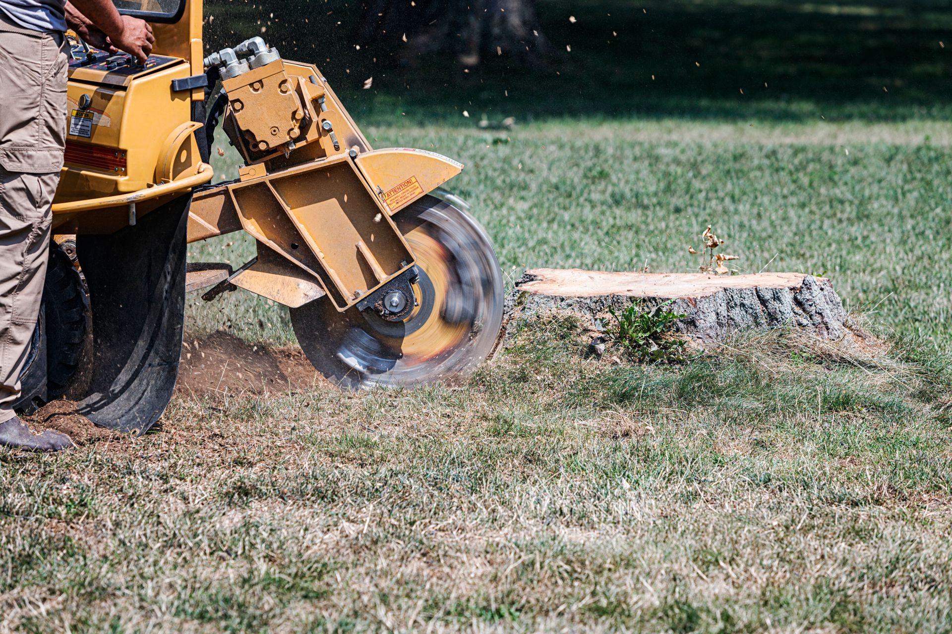 A man uses a small machine to cut down a tree, highlighting tree stump grinding service in action.