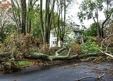 Storm Damage — Storm Cleanup in Curwensville, PA