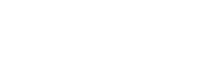 Yankee Canle Logo