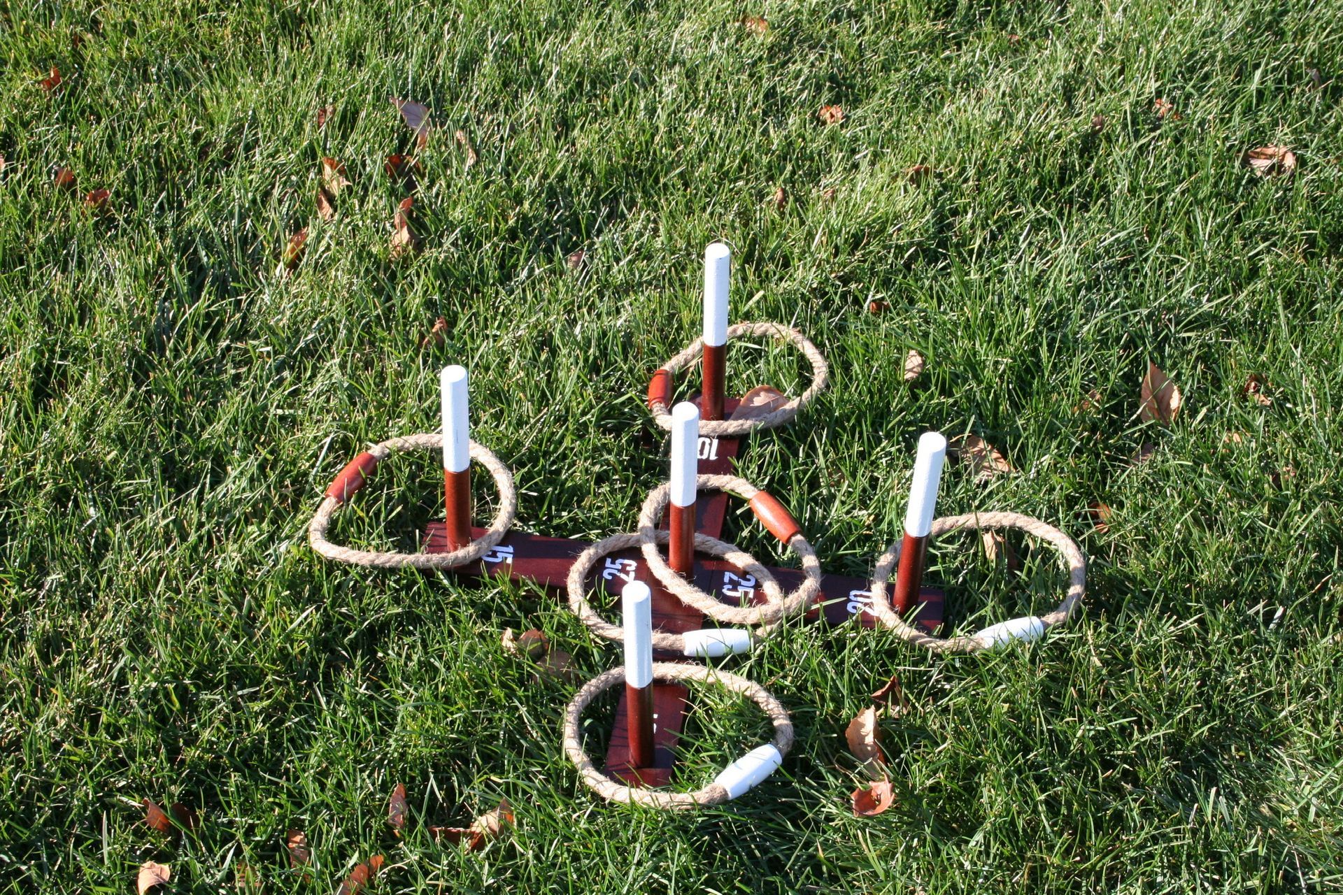 A group of rings sitting on top of a lush green field.