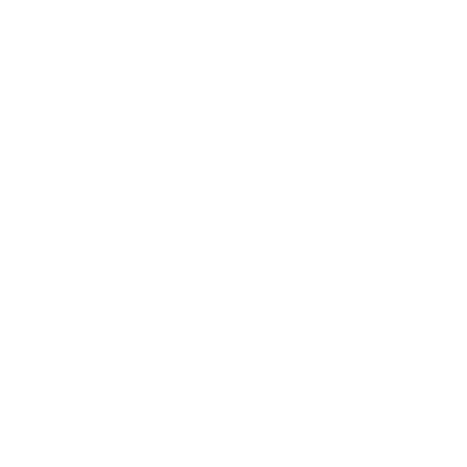 Town Square Village logo