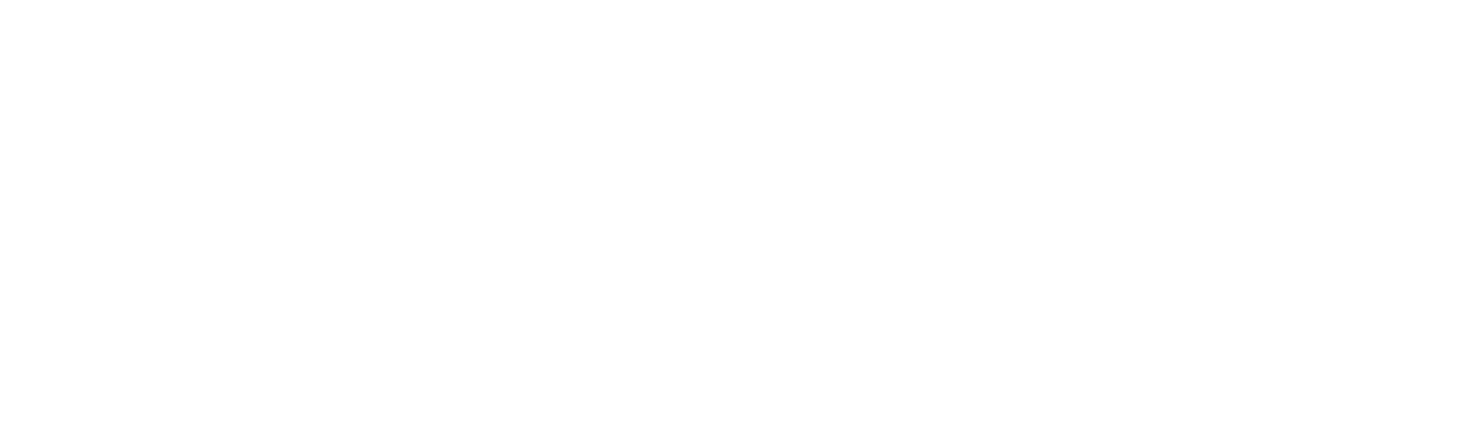 Connect White Logo