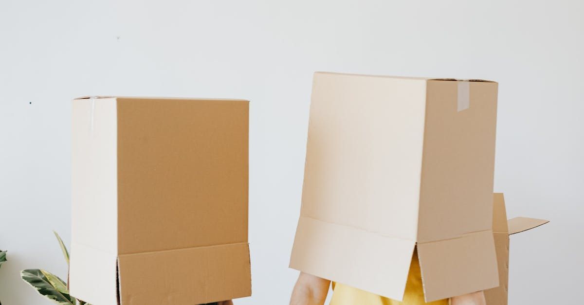 Two people are standing next to each other with cardboard boxes on their heads.