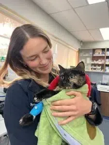 Woman holding a small cat wrapped in a green towel indoors