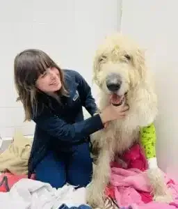 Woman kneels beside a shaggy cream dog on a bed, smiling as she holds its collar.