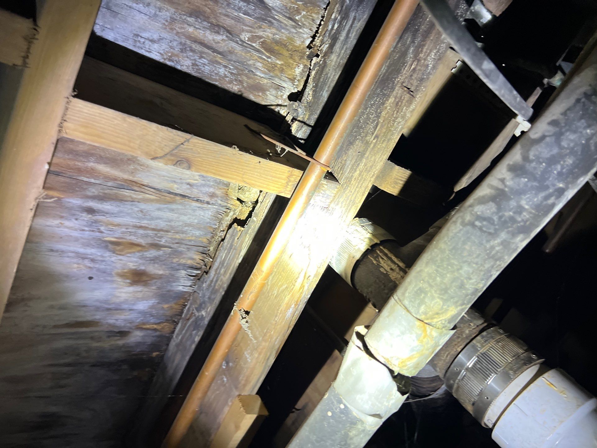 Wood rot in crawl spaces is caused by persistent moisture exposure that breaks down the cellulose structure of floor joists, beams, and sill plates. 