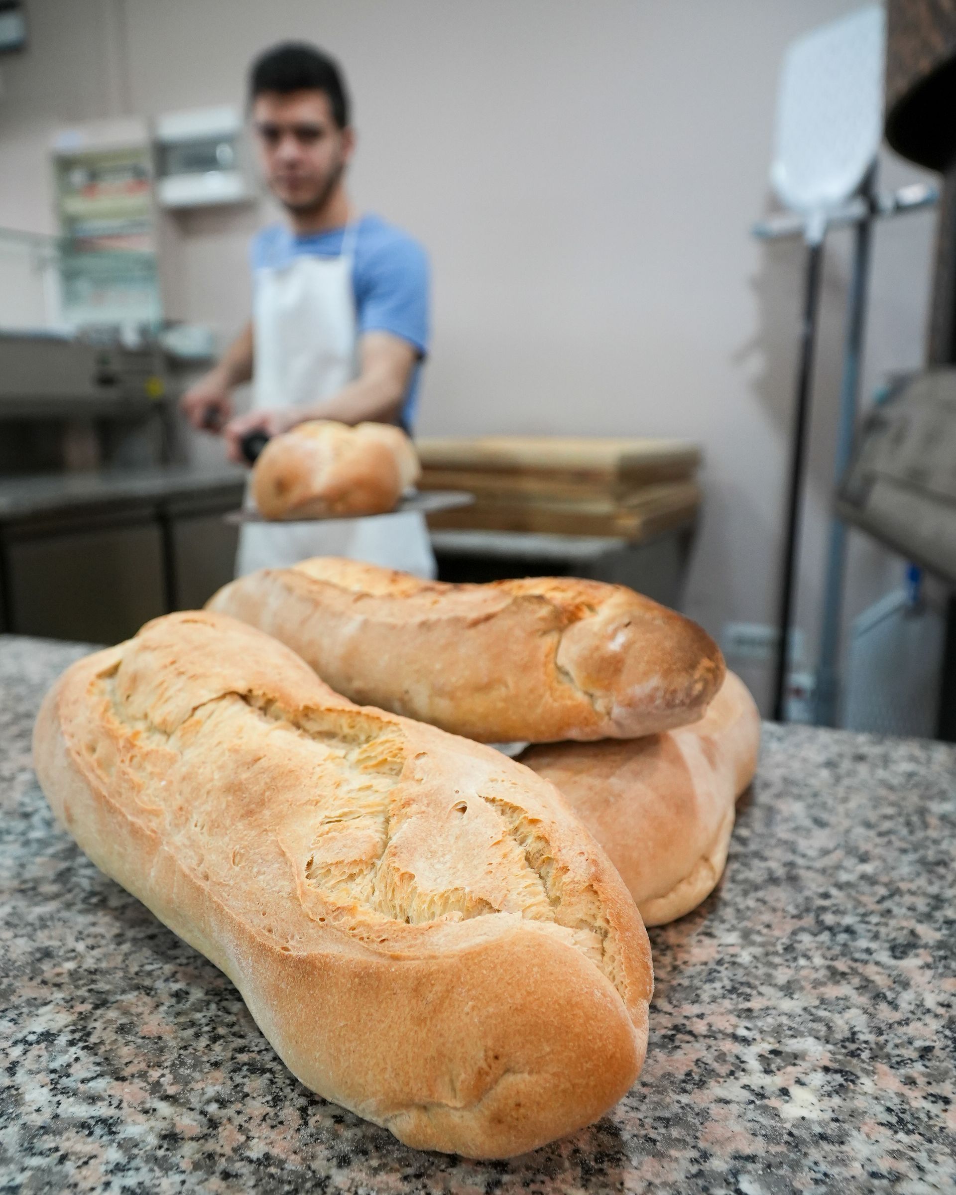 impasto per pizza integrale