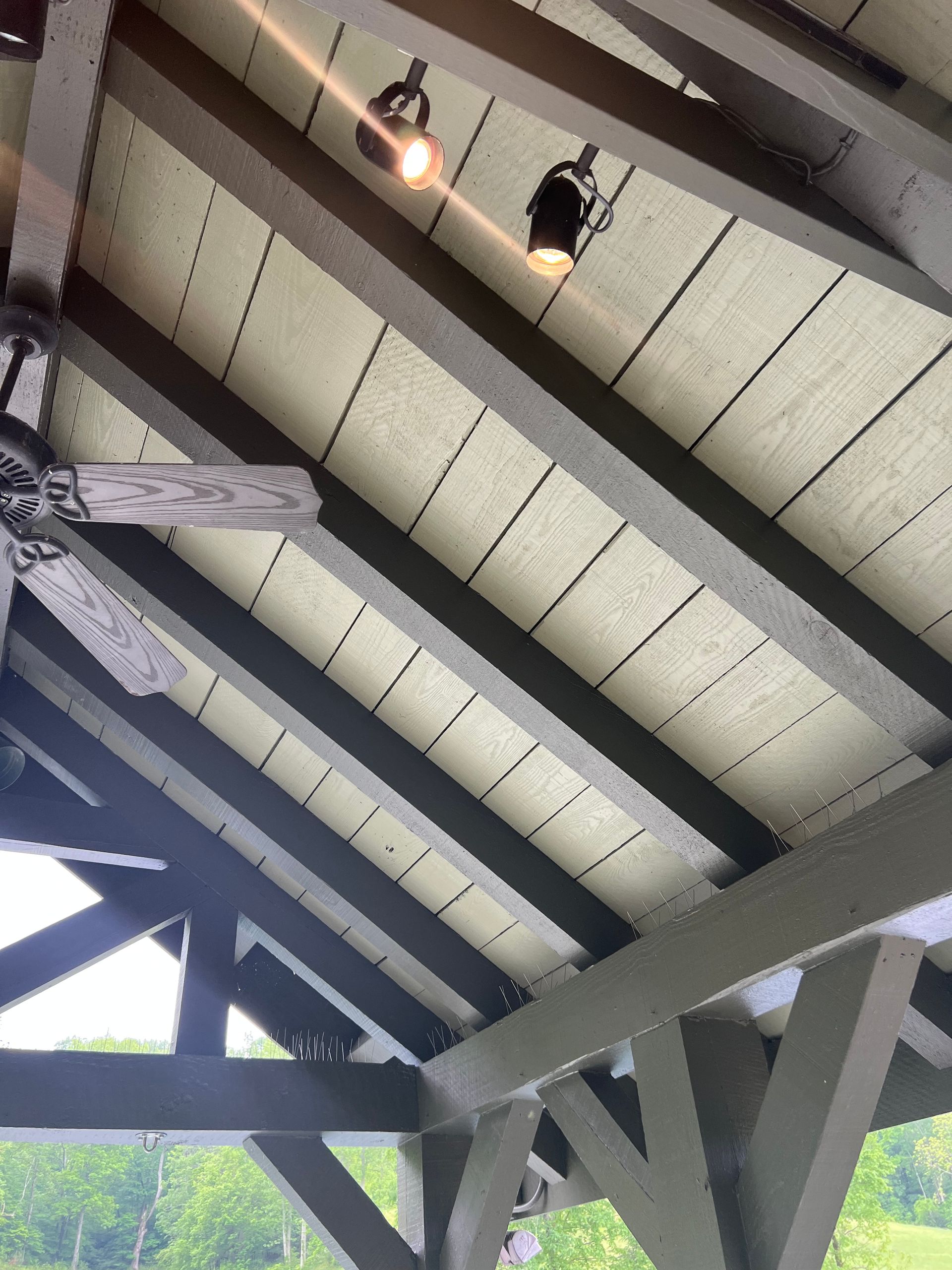 A ceiling fan is hanging from the ceiling of a building