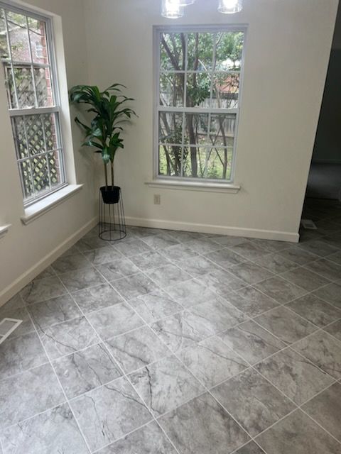 There is a plant in the middle of the room.